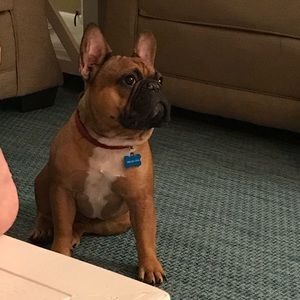 Meet your Posher, Colby